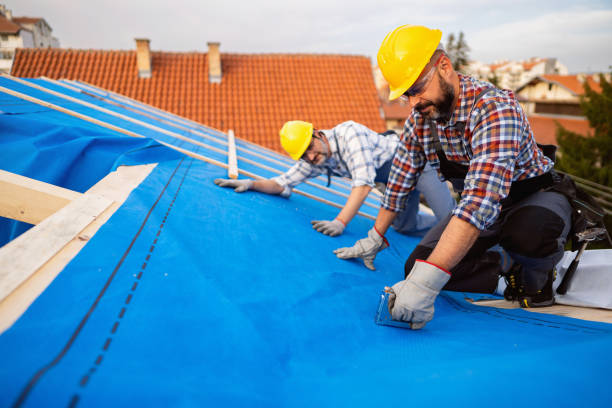 Best Roof Gutter Cleaning  in Laurie, MO